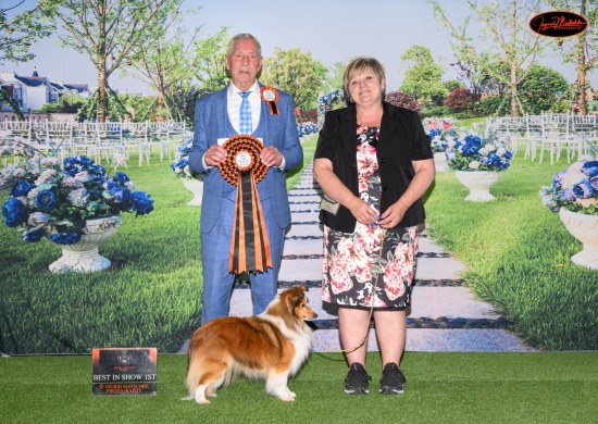 Working Dog Club of Vic Champ Show, Sun 3rd Nov